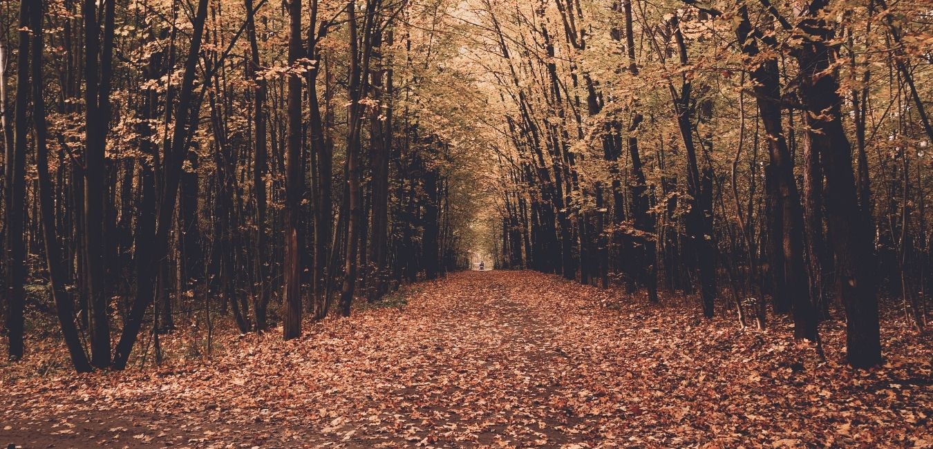 Bienvenido, otoño: estos son los básicos para tus outfits de la nueva estación