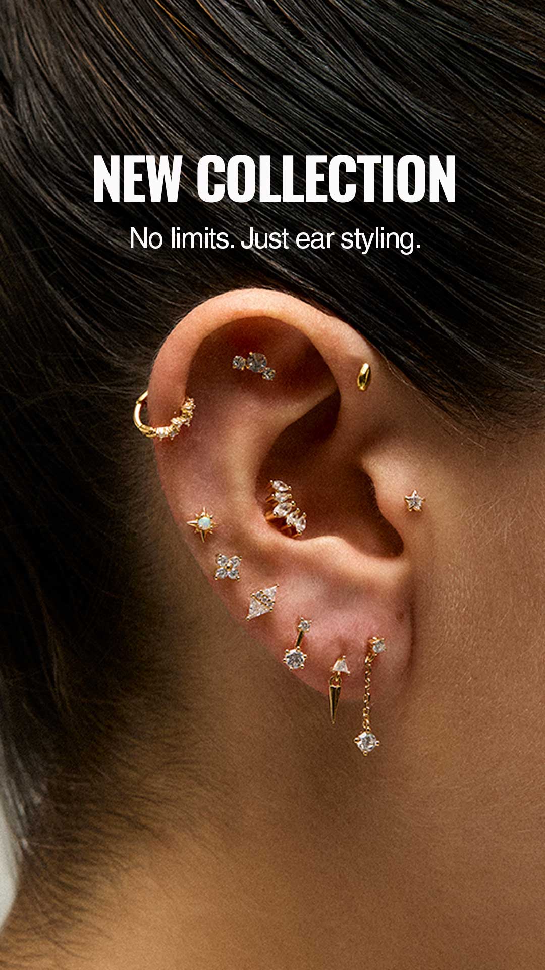 Imagen de diapositiva