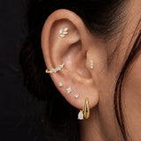 PIERCING LEAVES BRIGHT MINI OR