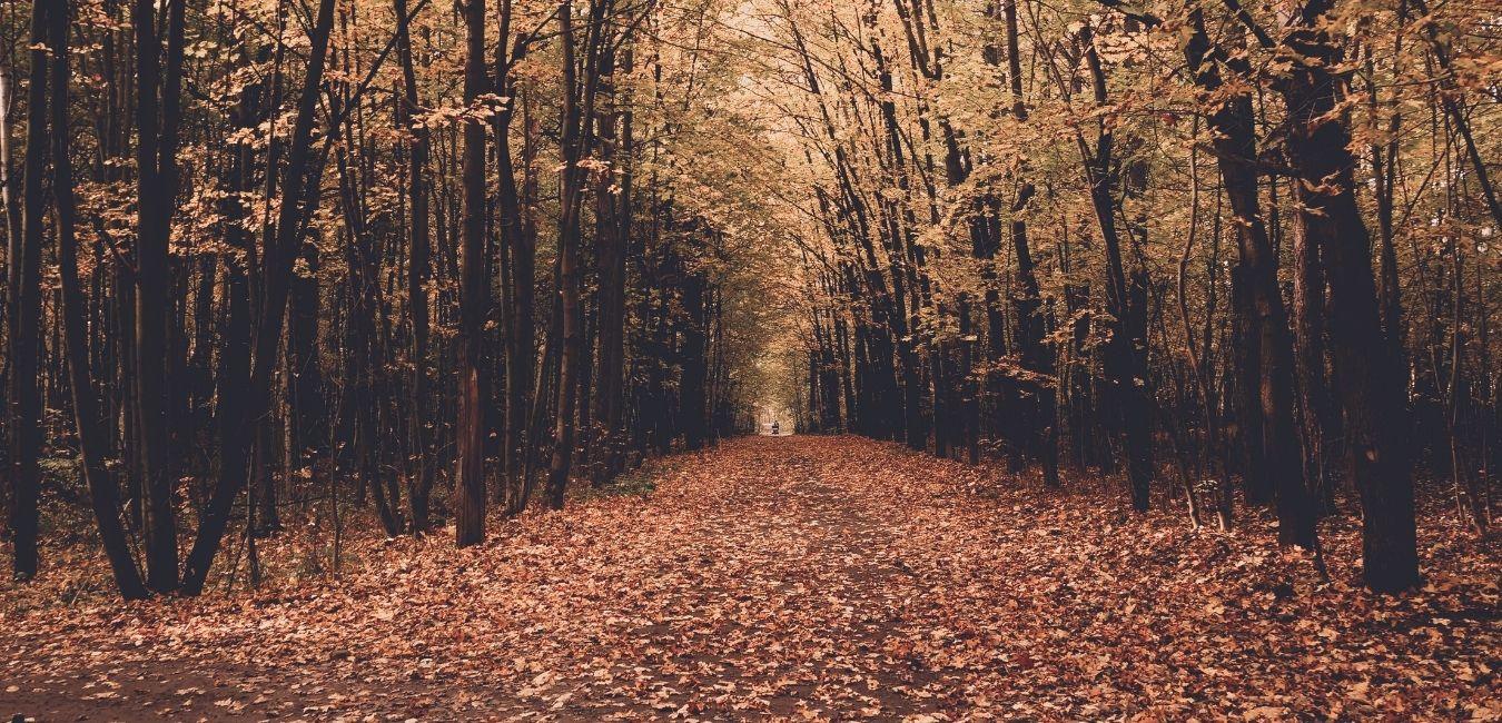 Welcome, autumn: these are the basics for your new season outfits