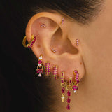 DANA PINK GOLD EARRINGS