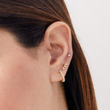 Ear Earrings Model Elvira Gold Plated Sterling Silver 925 with White Zirconias