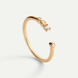 ANELLO D'ORO MEI