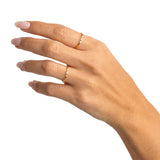 ANELLO FOX GOLD