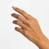 ANELLO D'ORO MEI
